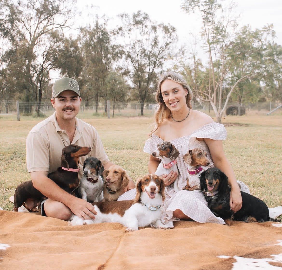 dachshund puppies for sale